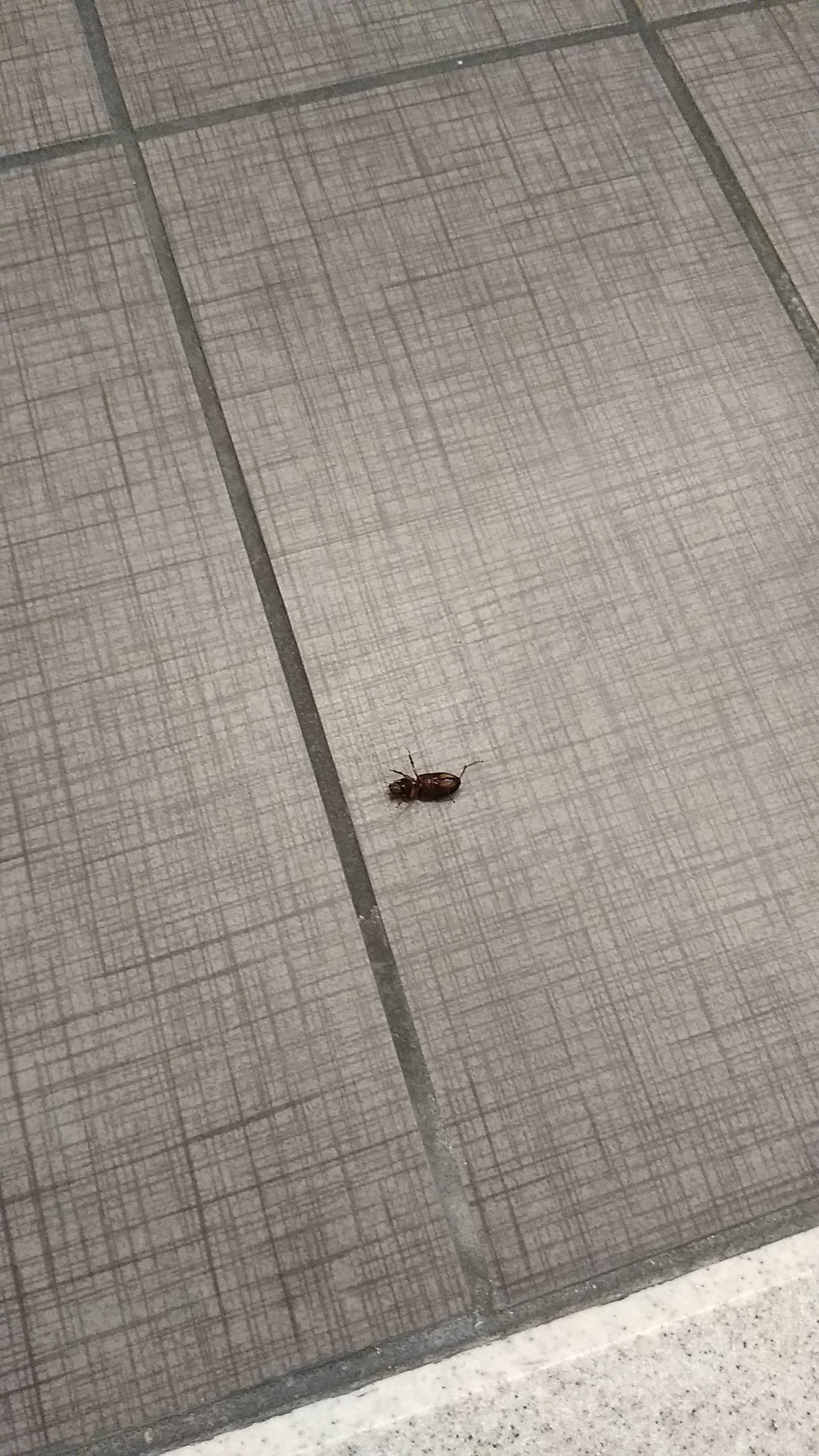 Sleep Inn & Suites Elk City-浴室