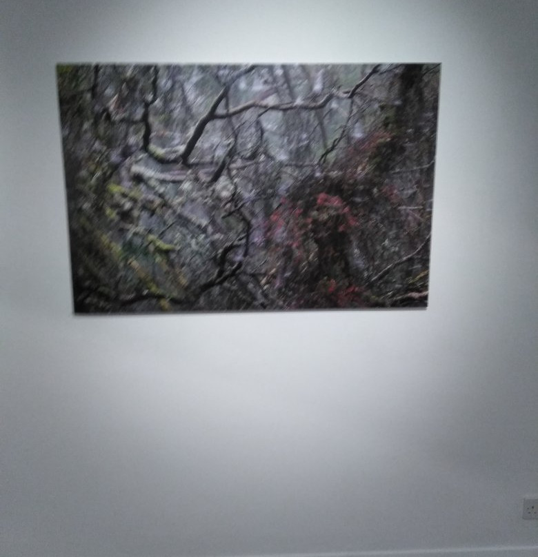 Meffan Museum and Art Gallery-Forfar必去景点