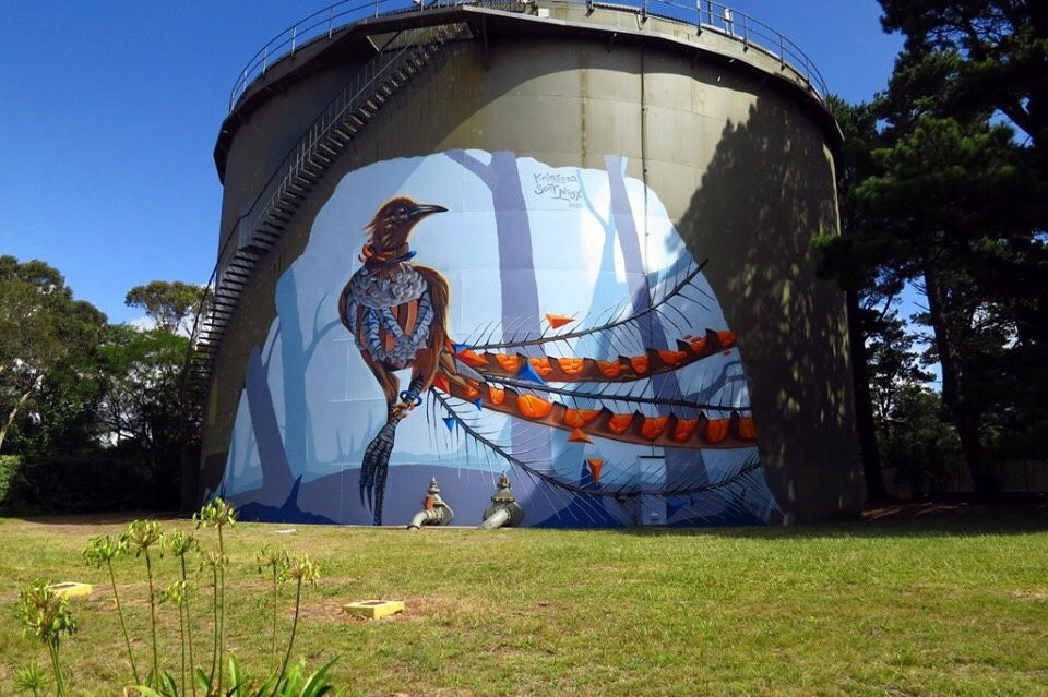 Lyrebird Mural-温特沃斯瀑布必去景点