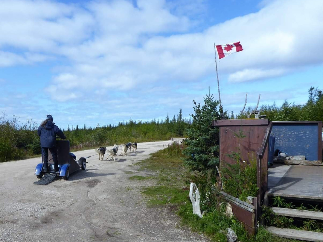 Blue Sky Expeditions-丘吉尔必去景点