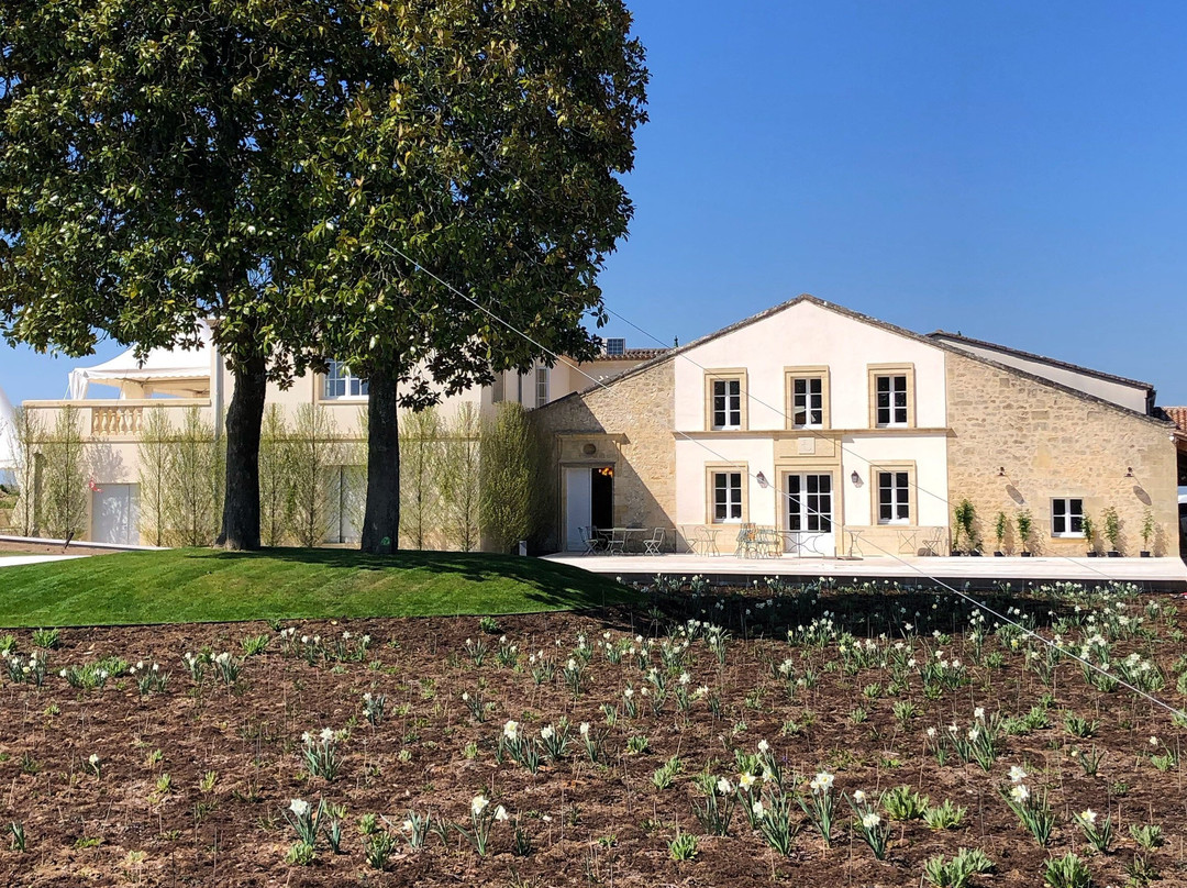Château Larmande景点图片