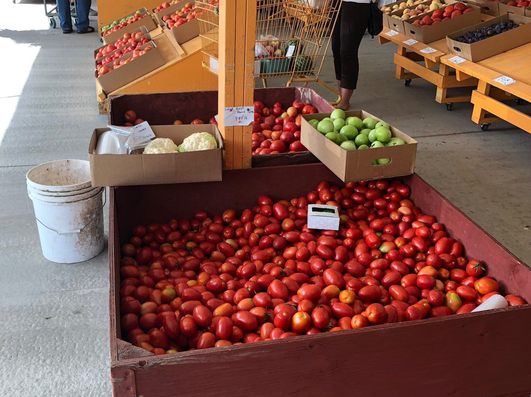2023年11月Peach King Fruit Stand景点攻略Peach King Fruit Stand门票预订地址图片