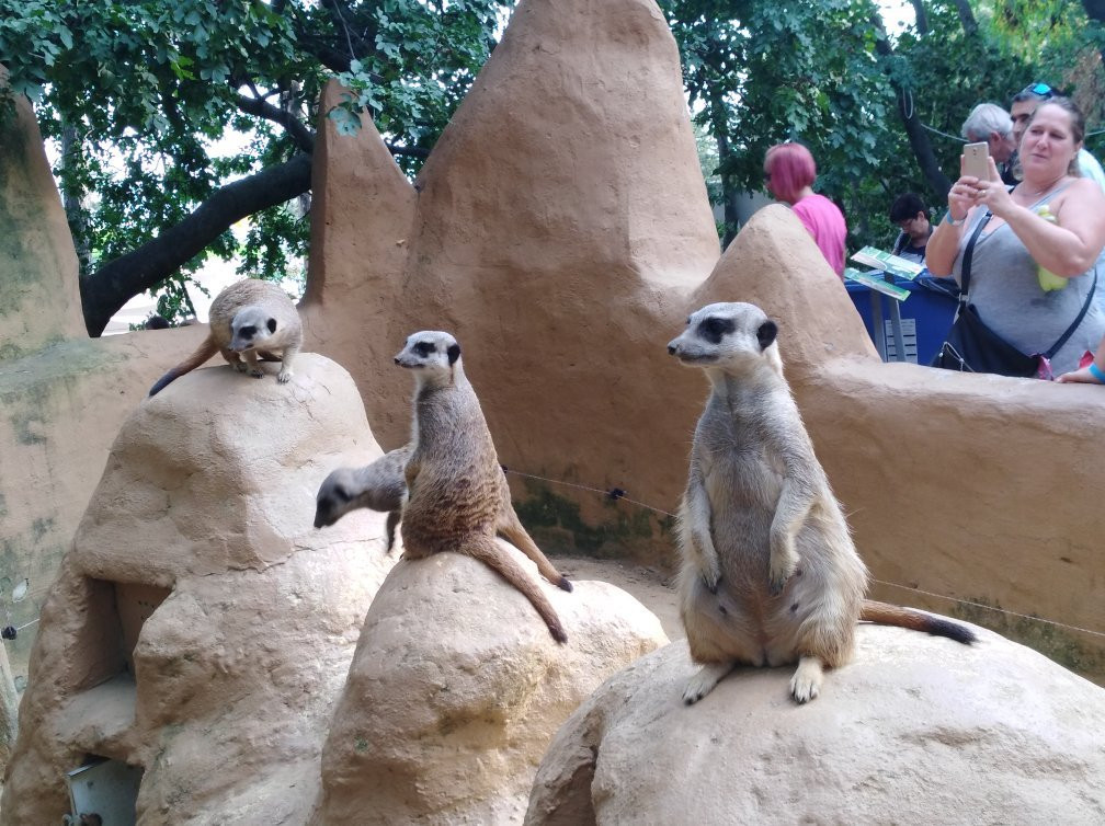 Pecs Zoo & Aquarium - Terrarium景点图片