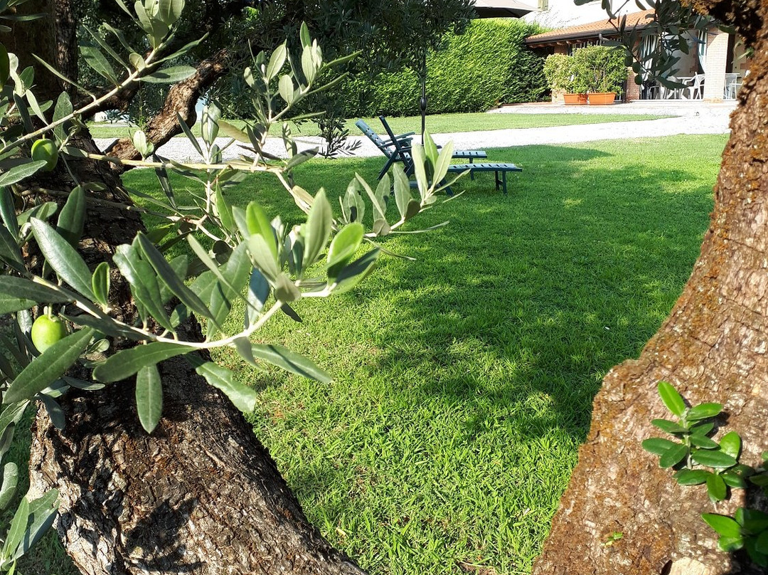 Bed and Breakfast Corte Tacconi主图