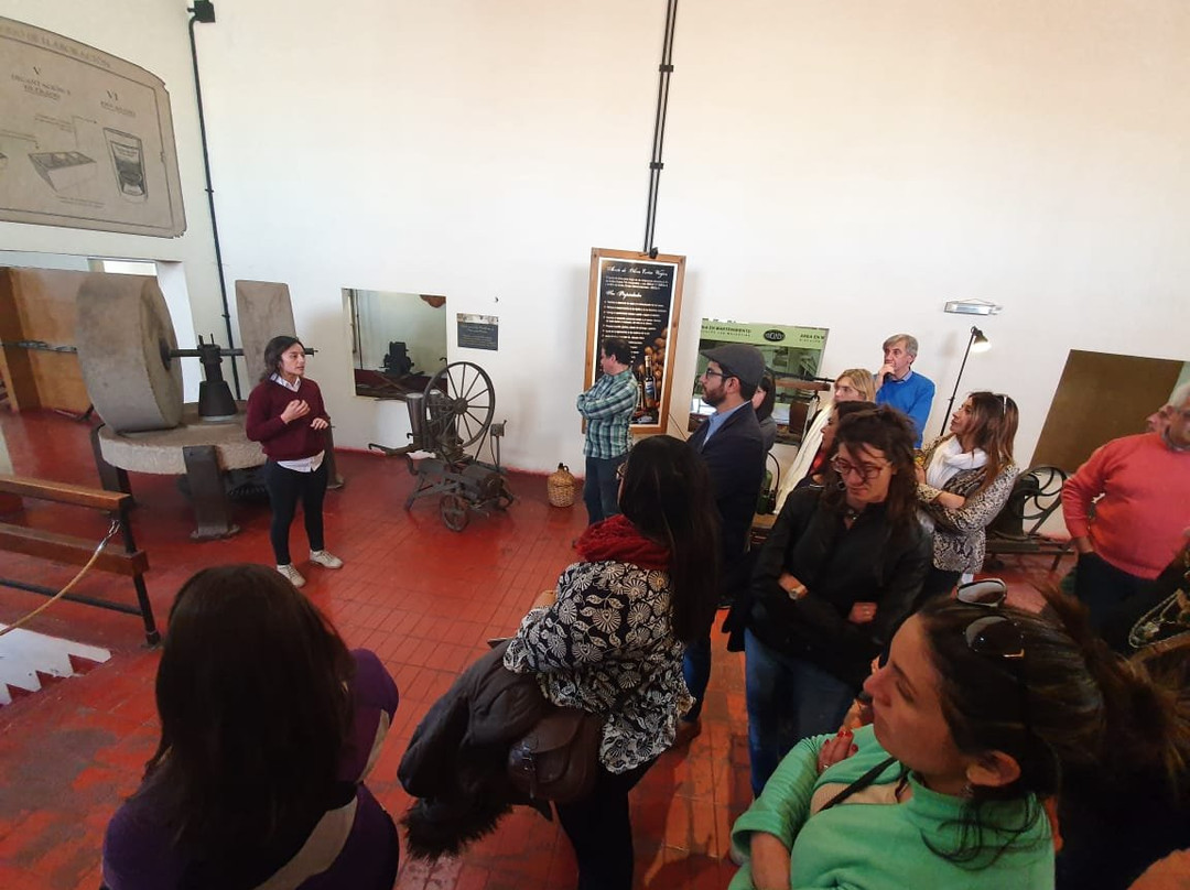 Yancanelo-圣拉斐尔必去景点