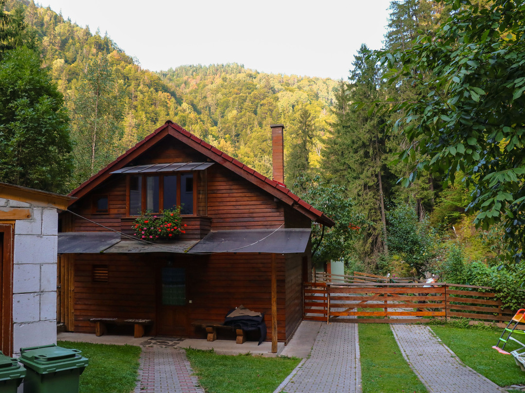 Paradise Valley - Valea Paradisului Pension主图