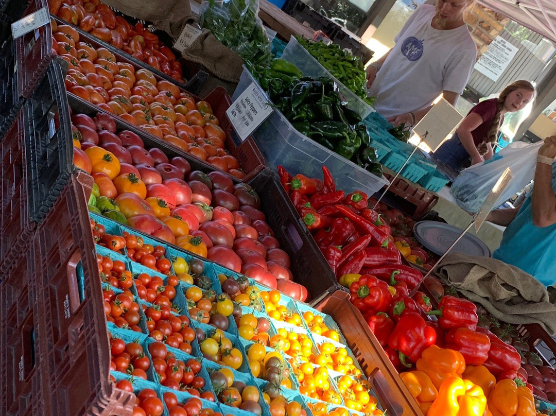 Boulder County Farmers Market-博尔德必去景点
