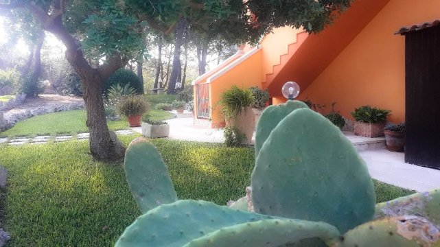 地中海的太阳-酒店景观