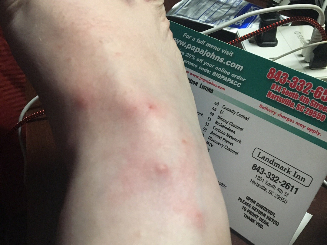 The Landmark Inn主图