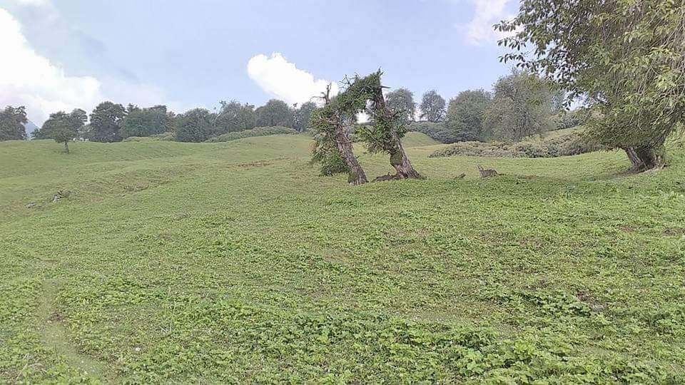 Chandrakhani Pass-Kullu必去景点