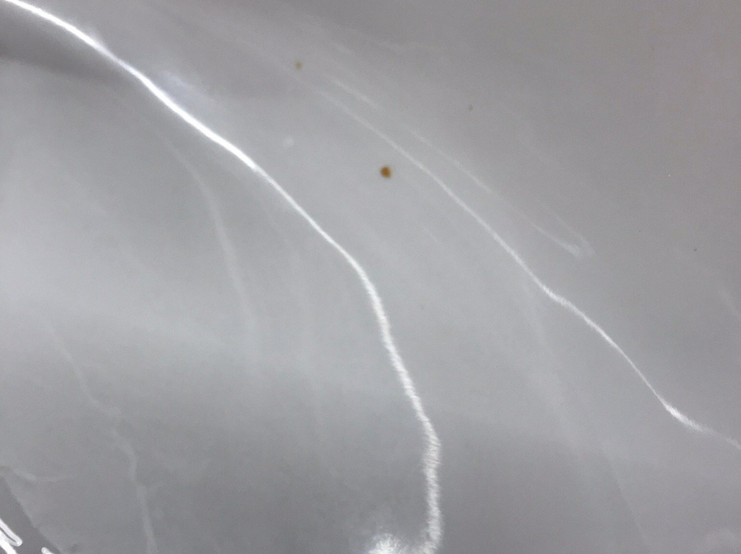 图洛德维拉纳酒店主图