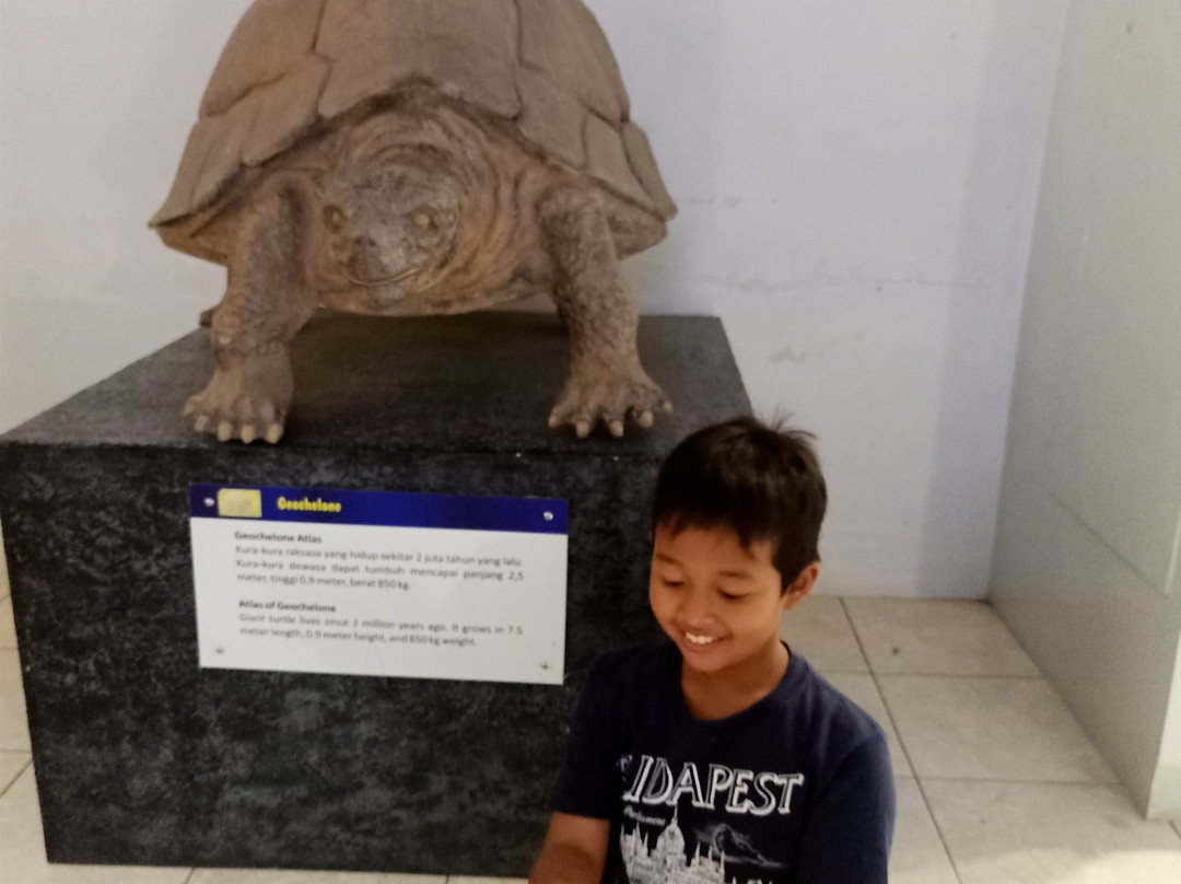 桑义兰早期人类遗址-Sragen必去景点