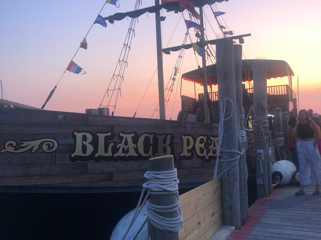 Black Pearl Pirate Tours景点图片