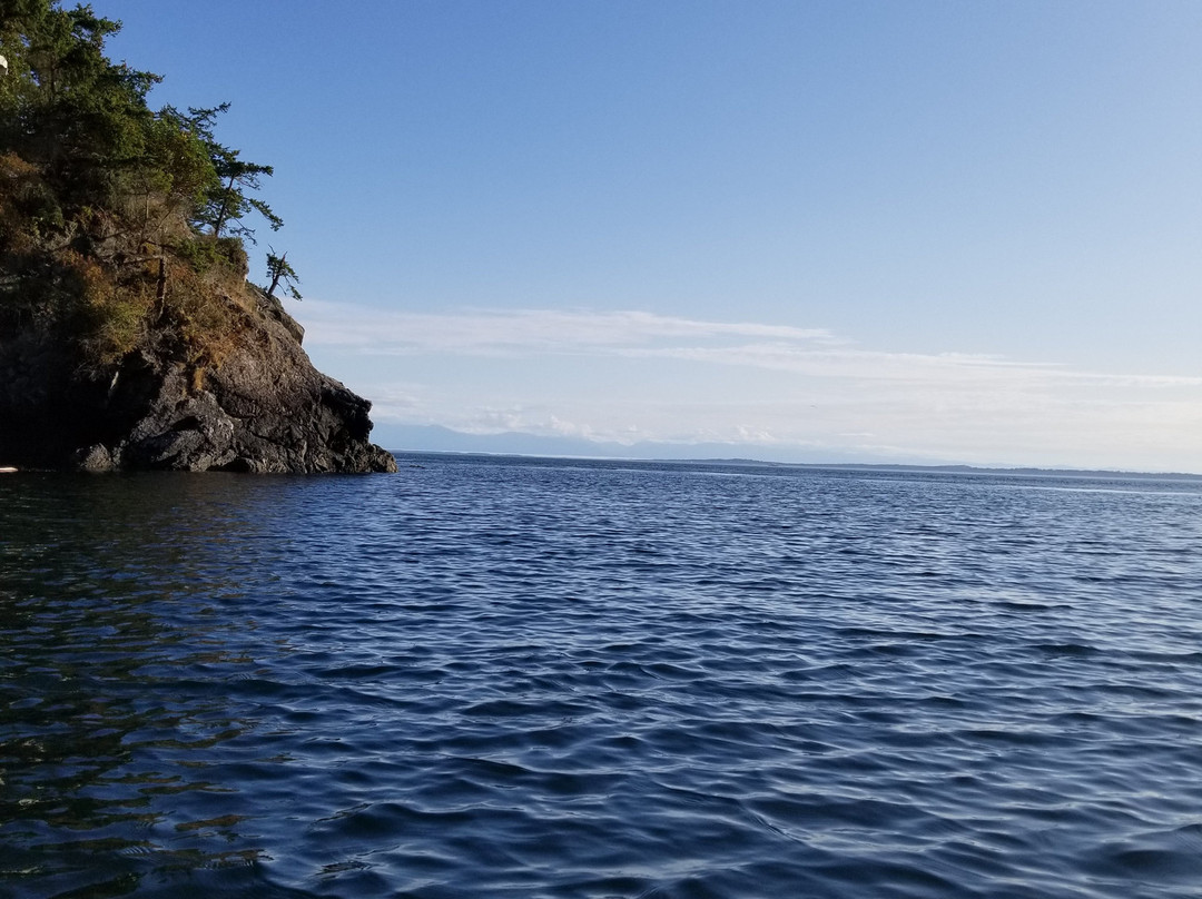 Crystal Seas Kayaking - Day Tours景点图片