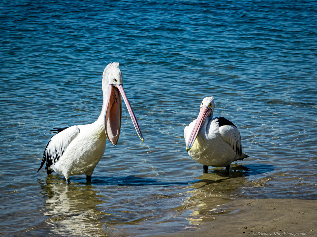 Ian Dipple Lagoon-拉布拉多必去景点