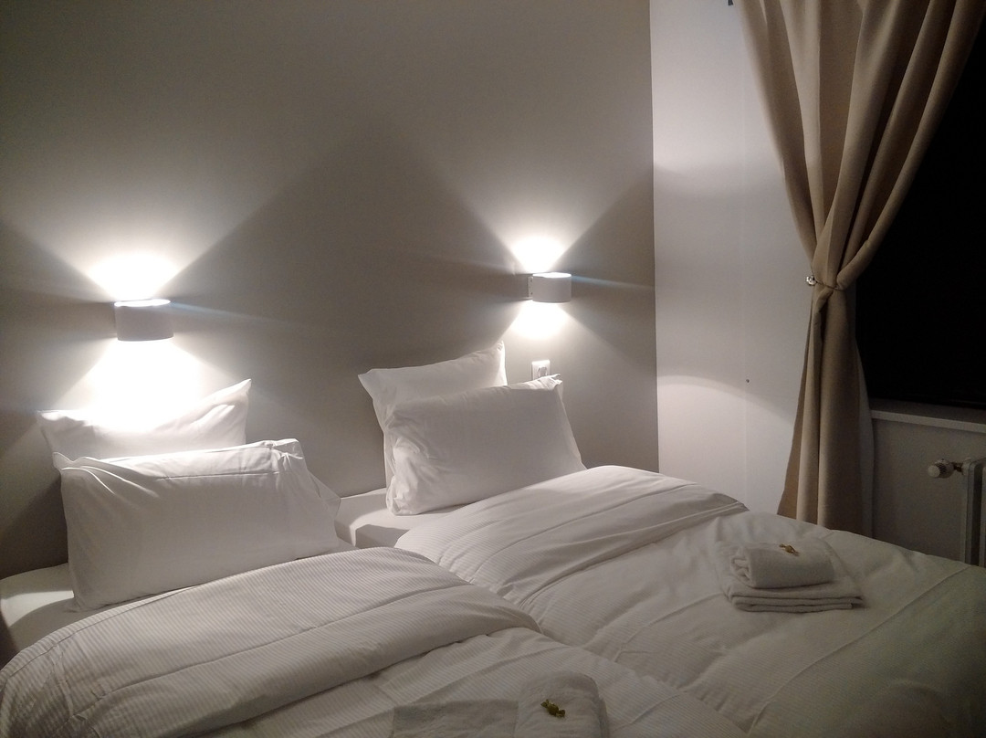 Hotel le Confluent主图