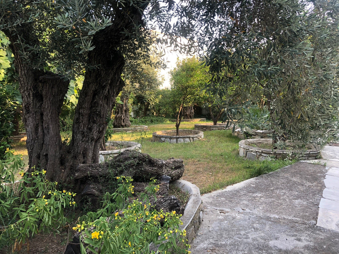 Naftilos Skiathos主图