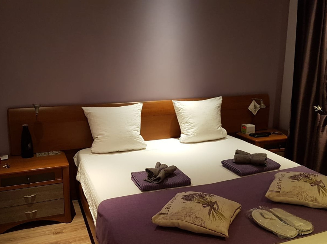 Guesthouse Banja Hollandiа主图