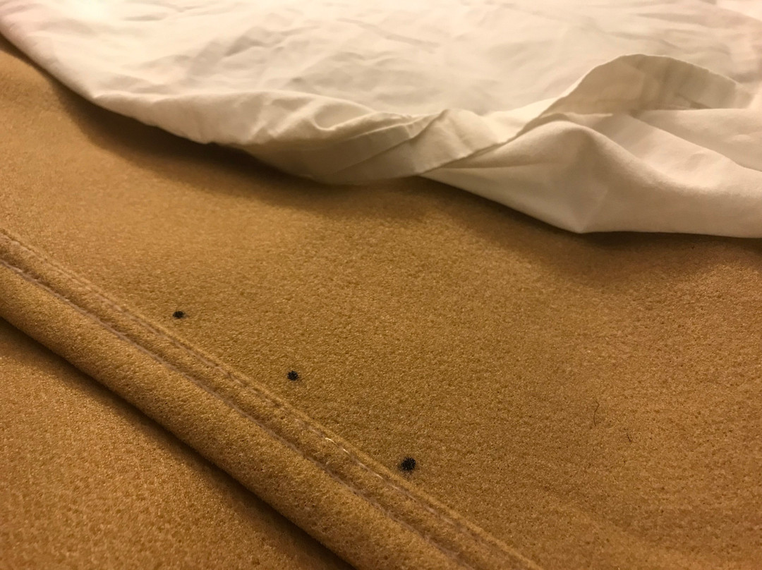 Super 8 by Wyndham Kimball主图