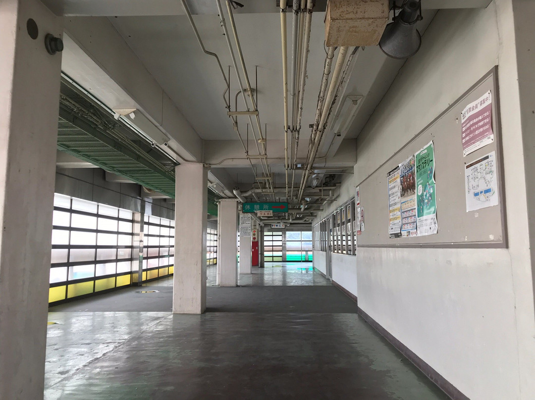 Kasamatsu Keiba Racetrack-笠松町必去景点