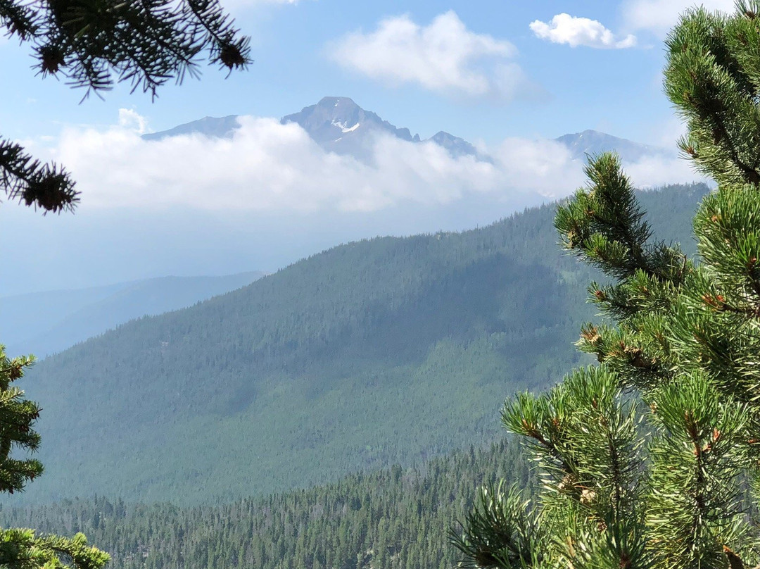 Rocky Mountain Conservancy Tours景点图片