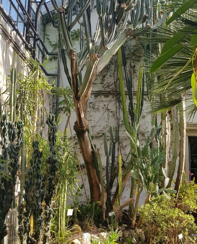 Palmenhaus Konstanz-康士坦茨必去景点