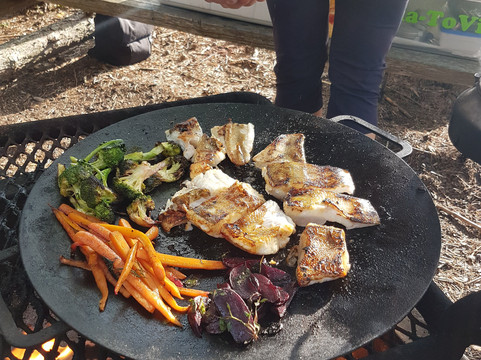 Kala-ToVi-Salo必去景点