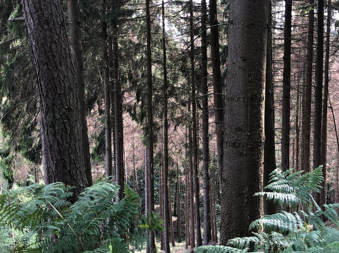 Bergerhof-哈廷根必去景点