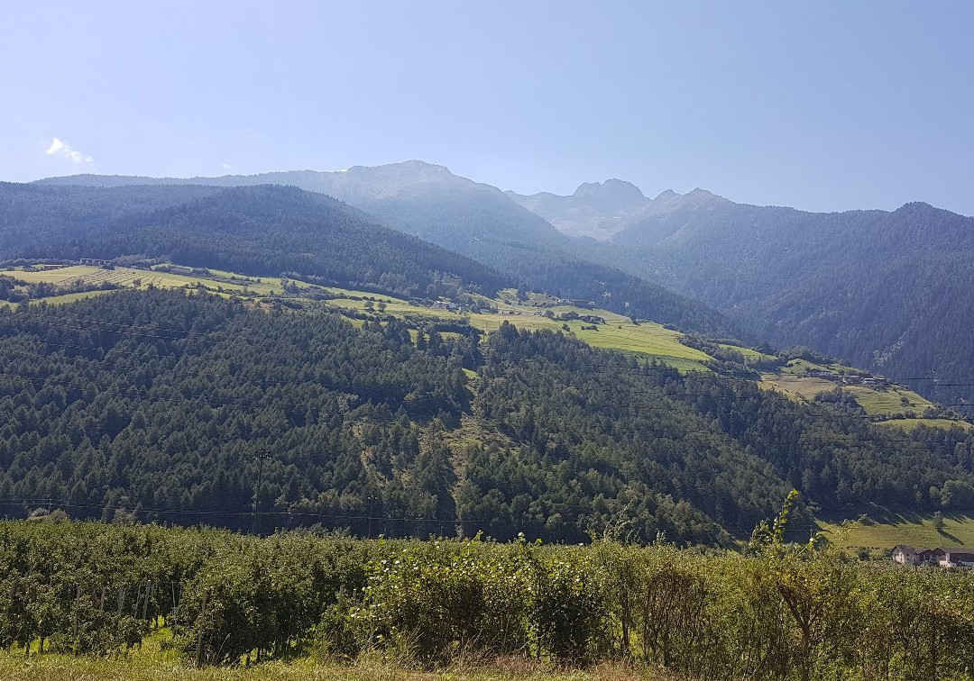 Pista Ciclabile della Val Venosta景点图片