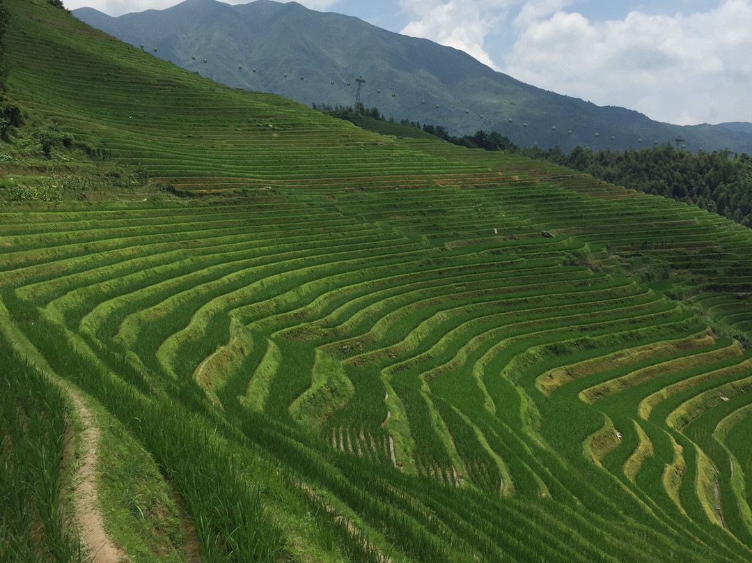 昔阳大寨村生态农业园-昔阳县必去景点