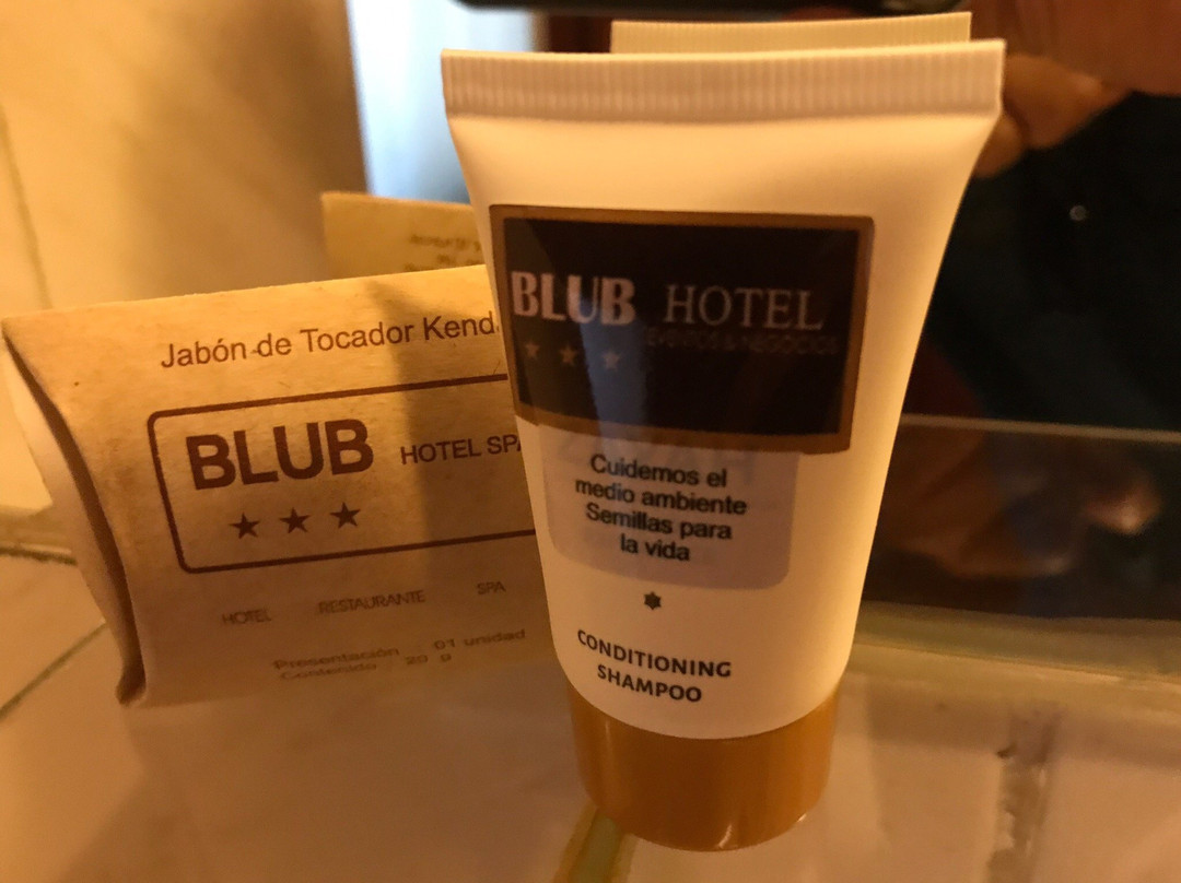 Blub Hotel Spa主图