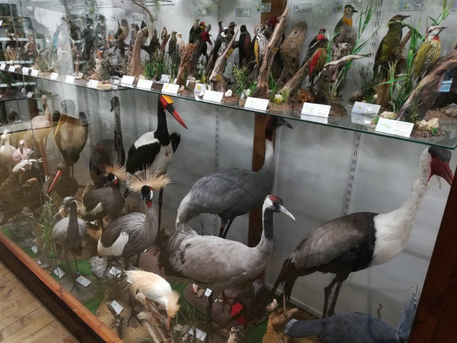 Vanni's Vogelwelt-Oberdrauburg必去景点