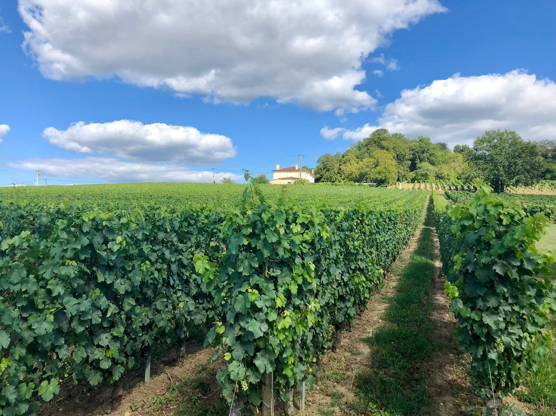 Chateau Richelieu主图