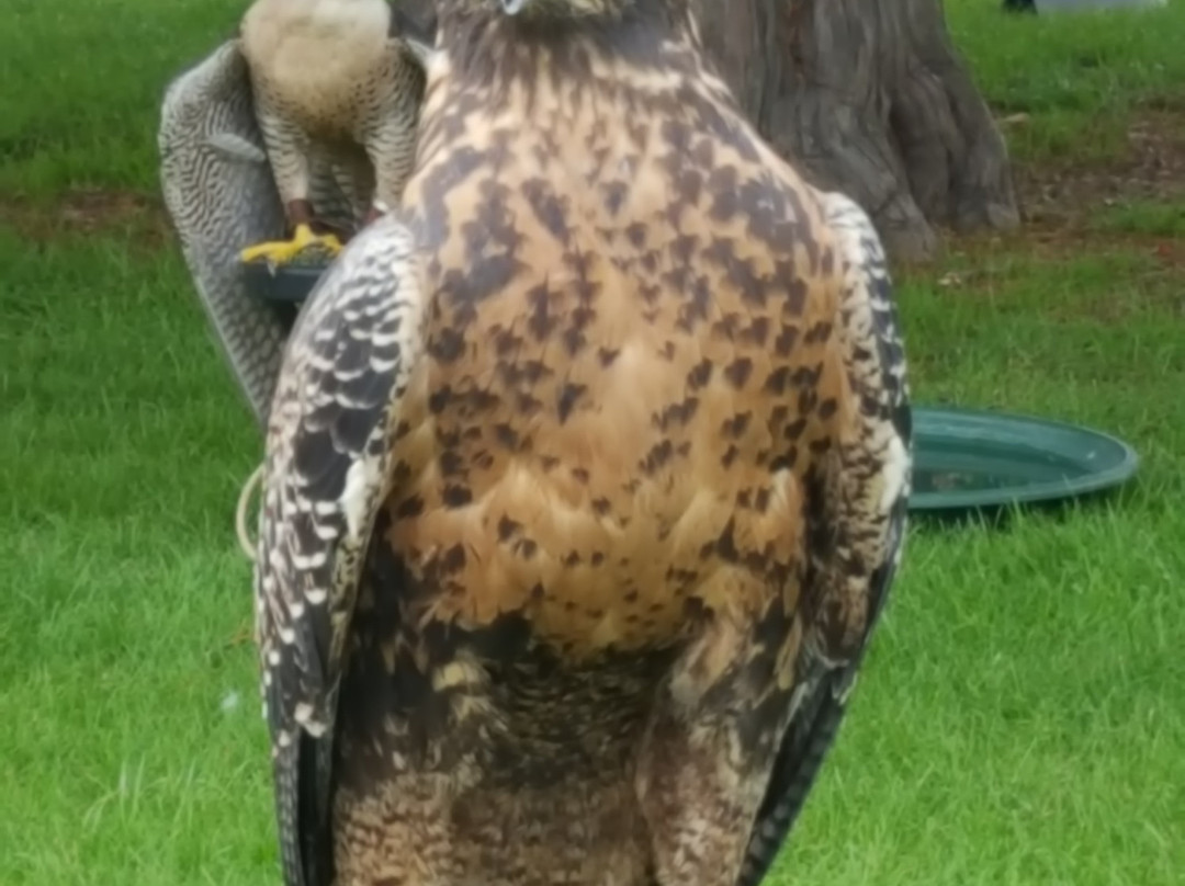 Hampton Court Park景点图片