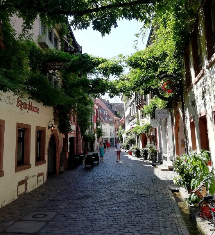 Free Tour Freiburg-佛莱堡必去景点