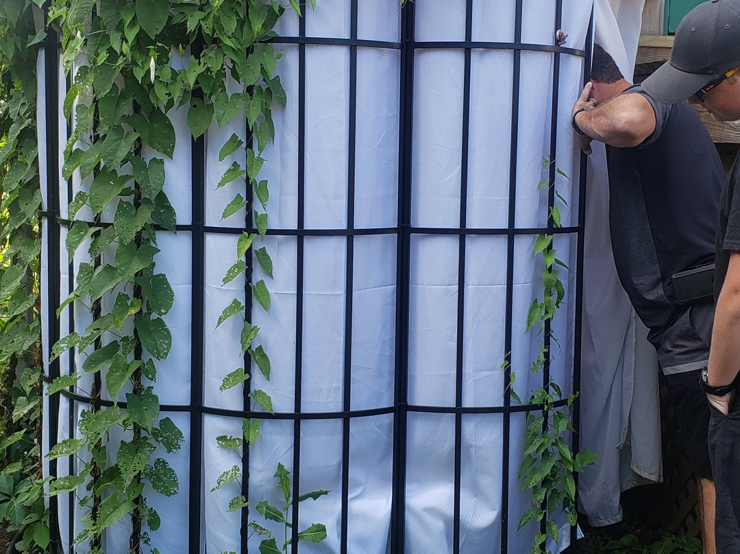 The Old Schoolhouse  of Isle La Motte主图