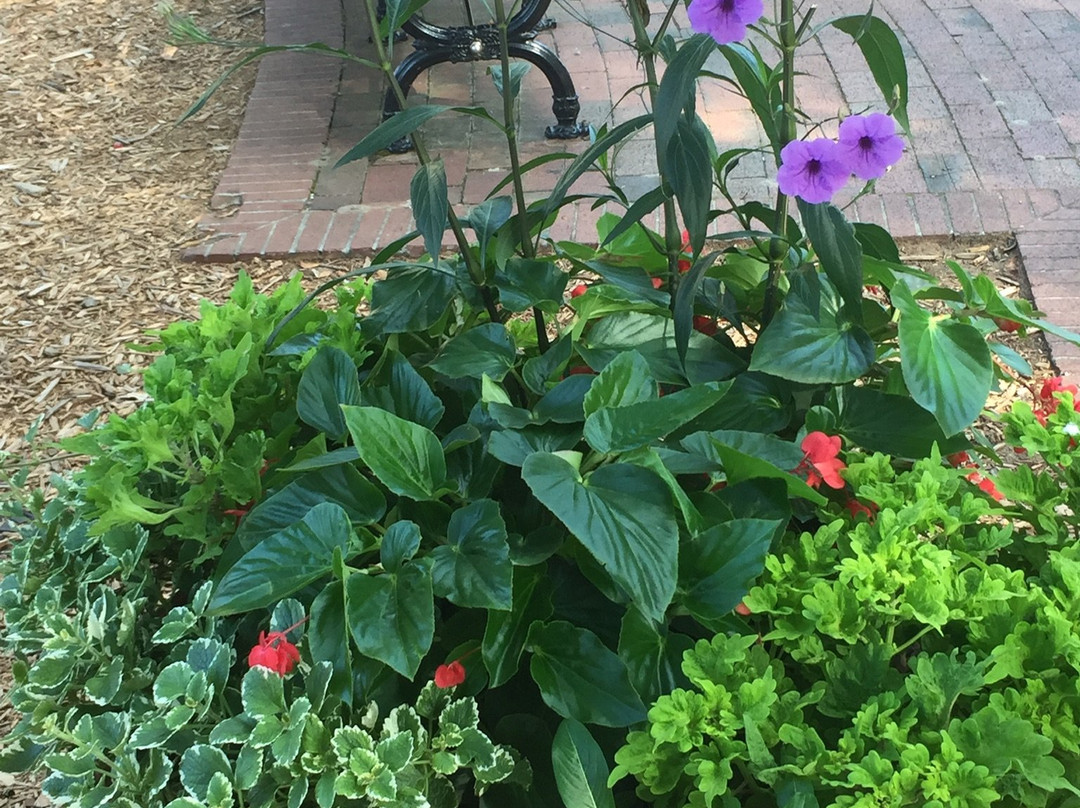 Marietta Square Farmers Market-玛丽埃塔必去景点