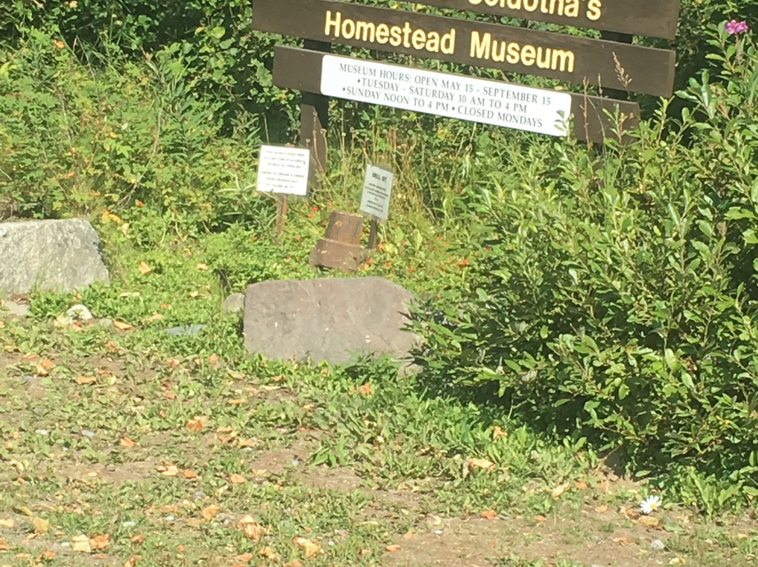 Soldotna Historical Society & Museum-索尔多特纳必去景点