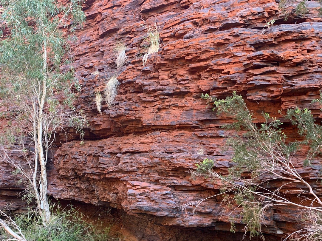 Weano Gorge (Handrail Pool)-Karijini National Park必去景点