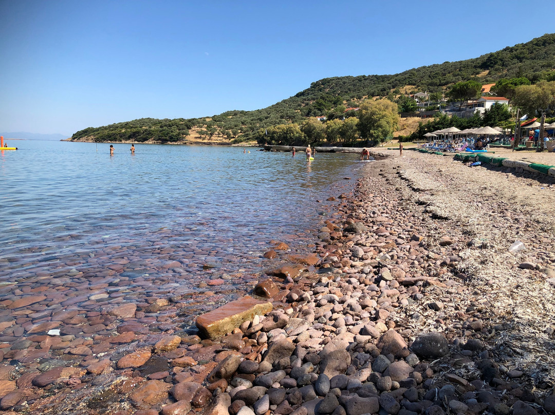 Skala Neon Kydonion旅游攻略图片