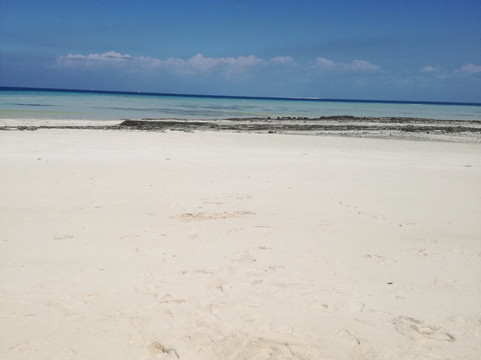 Kendwa Royal Palm主图