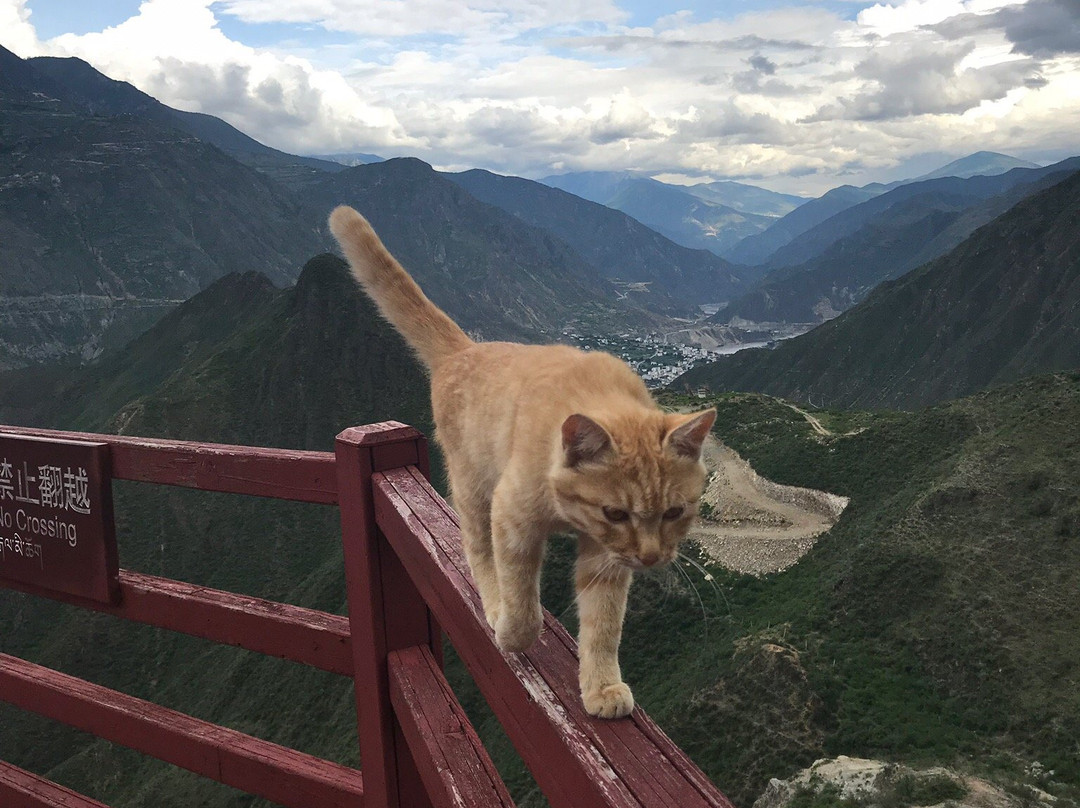 四川金沙江第一湾景点图片