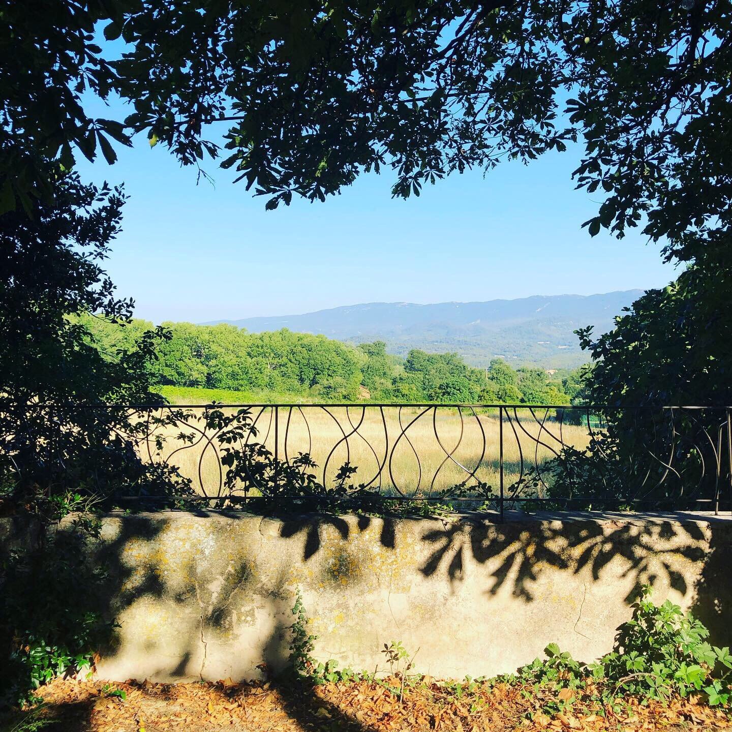 Le Chat Dans la Bastide-官方