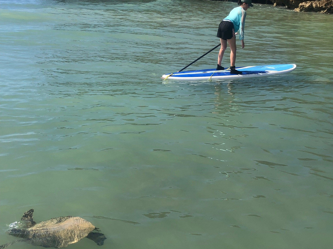 Hans Hedemann Surf School-卡胡库必去景点
