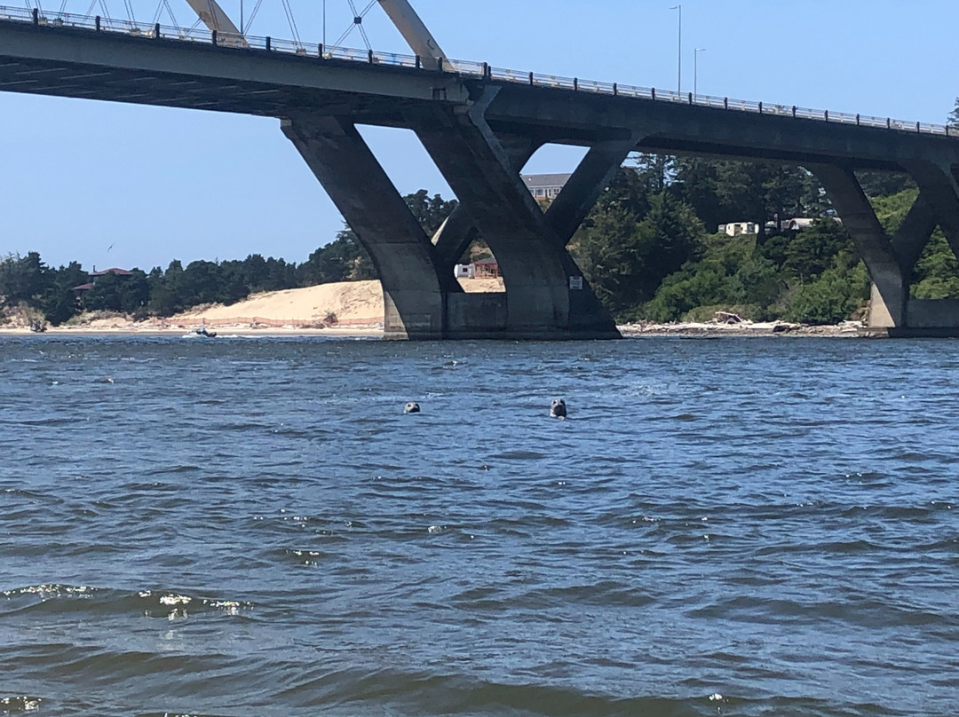 Rain Recreation-Waldport必去景点