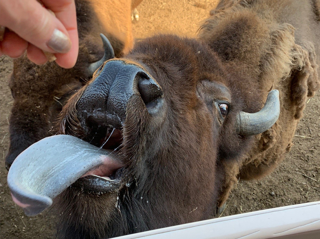 Wagon Trails Animal Park-Vienna必去景点