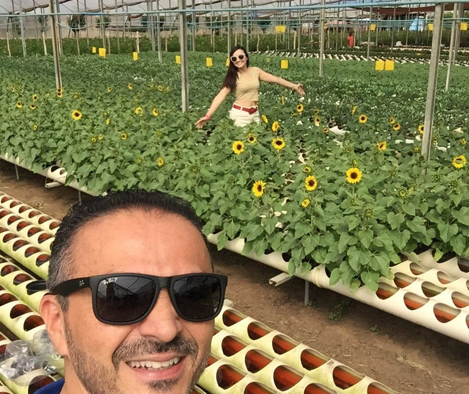 Reijers Produção de Rosas-Sao Benedito必去景点