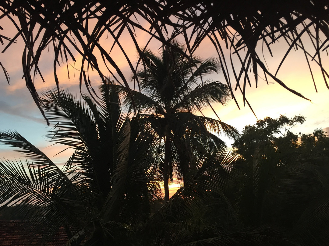 East Surf Cabanas主图