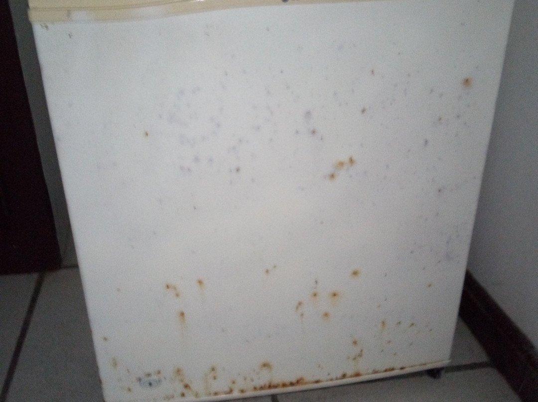 ibis Styles Cayenne Centre Amazonia主图