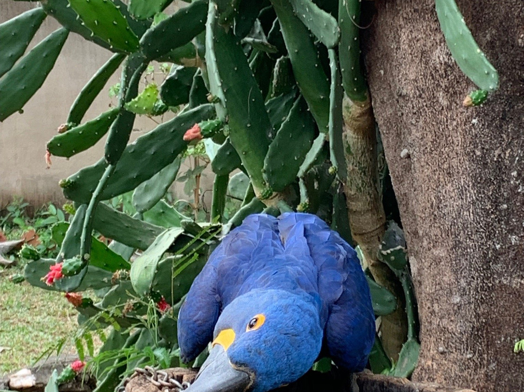 Rio do Peixe景点图片